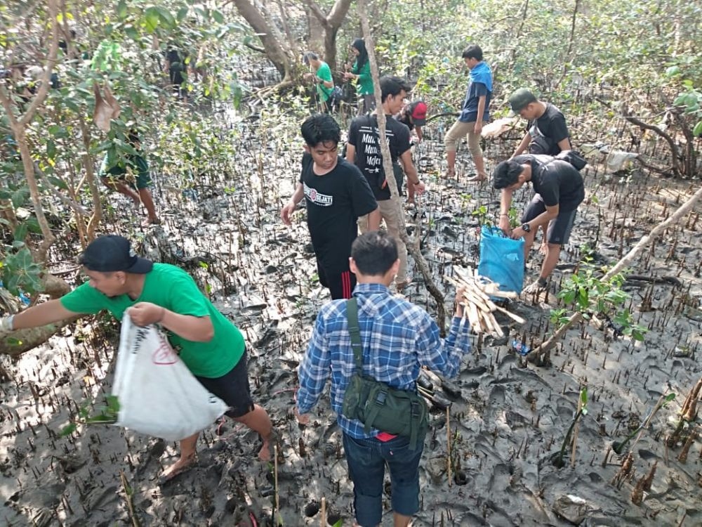 Revitalisasi Hutan Mangrove Wonorejo Rampung