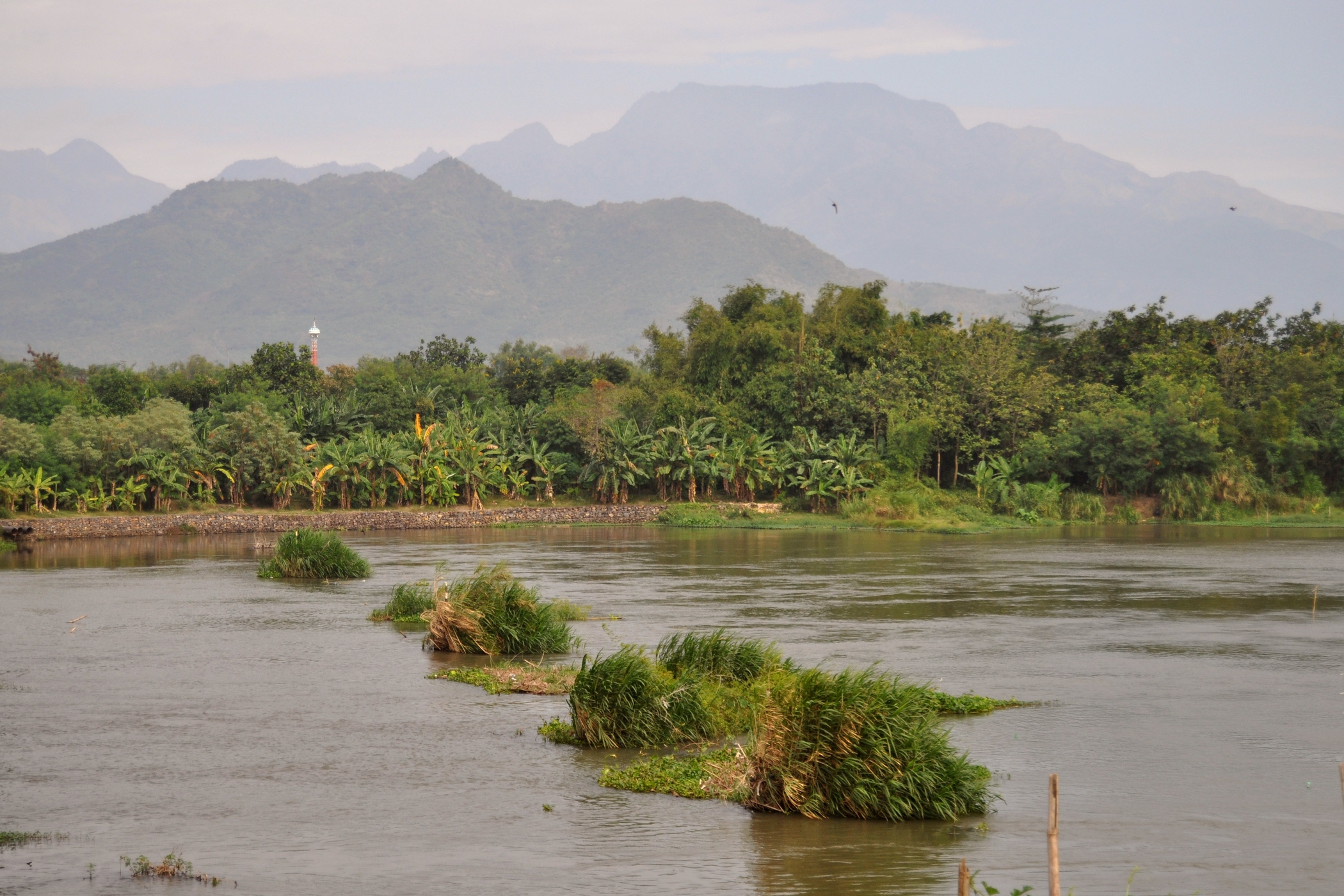 Harmoni Delta Brantas