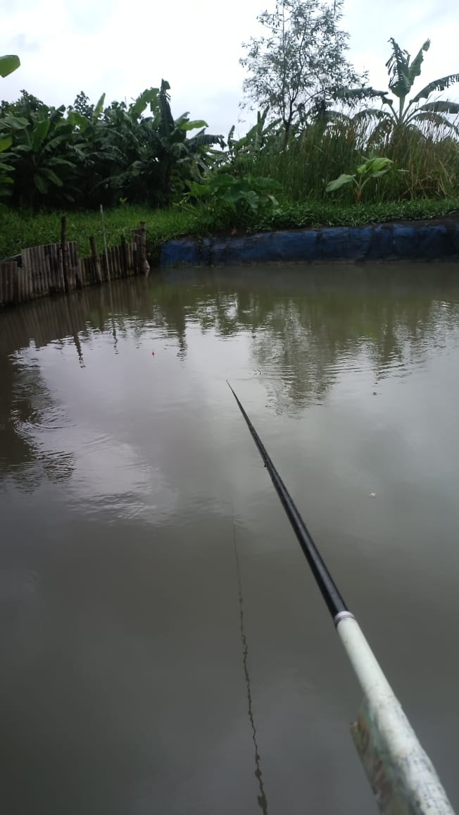 Petis Udang Sidoarjo